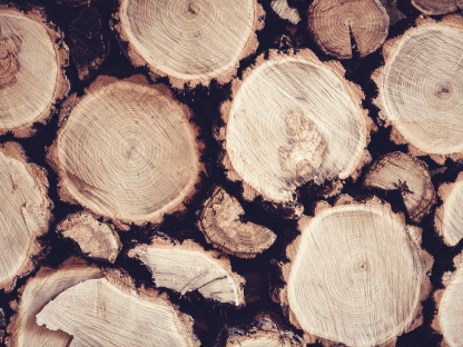 Close-up of stacked wooden logs showcasing natural textures, available at Chelsea Art Group - New York City top trusted art advisers in conceptual, drawing, painting, photography and sculpture.