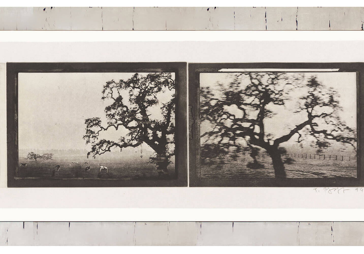 Black and white landscape art by Judy Pfaff, showcasing trees and fields, available at Chelsea Art Group - New York City top trusted art advisers.