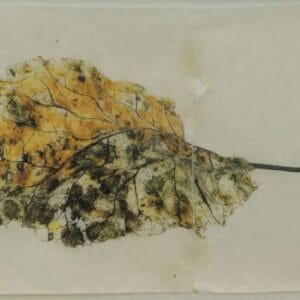 Mike and Doug Starn Untitled Leaf