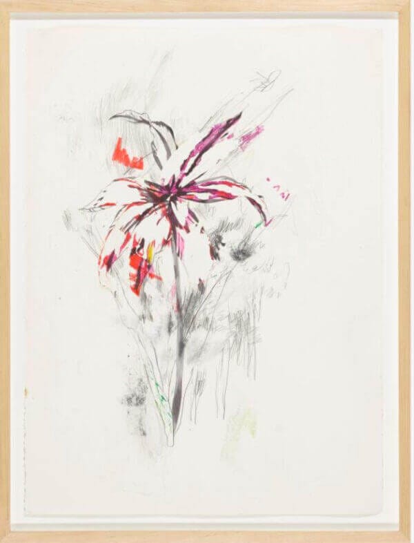 Wardell Milan Red Flower, 2012